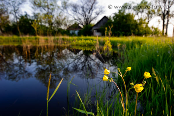 20100425_egyeb_0040.JPG - A jszsgi tanyavilg elhagyott tanyi cm sorozat tagja. Valsgos fizikai fjdalmat rzek a szvemben, mikor ltom, hogy ezek a csodaszp s nyugalmat raszt lakhelyek milyen temben pusztulnak.