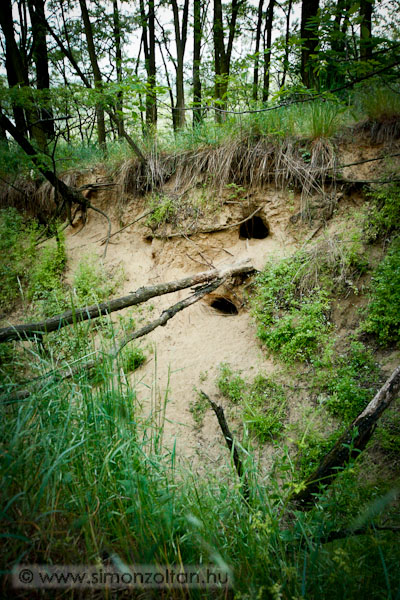 20090510_werk_0044.JPG - Hasznlt rkakotorkok.