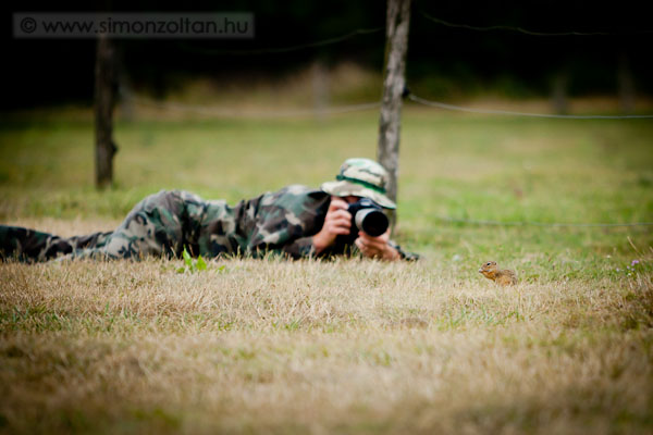 20110704_werk_0098.JPG - Vgre kzel jtt, a trelem sokszor meghozza gymlcst.