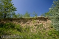 20090503_werk_0041