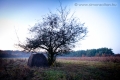 20111031_werk_0102